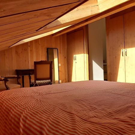 L'Annexe De Ma Cabane Bordeaux Kültér fotó